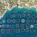 Как выглядят рыбные фермы в Греции